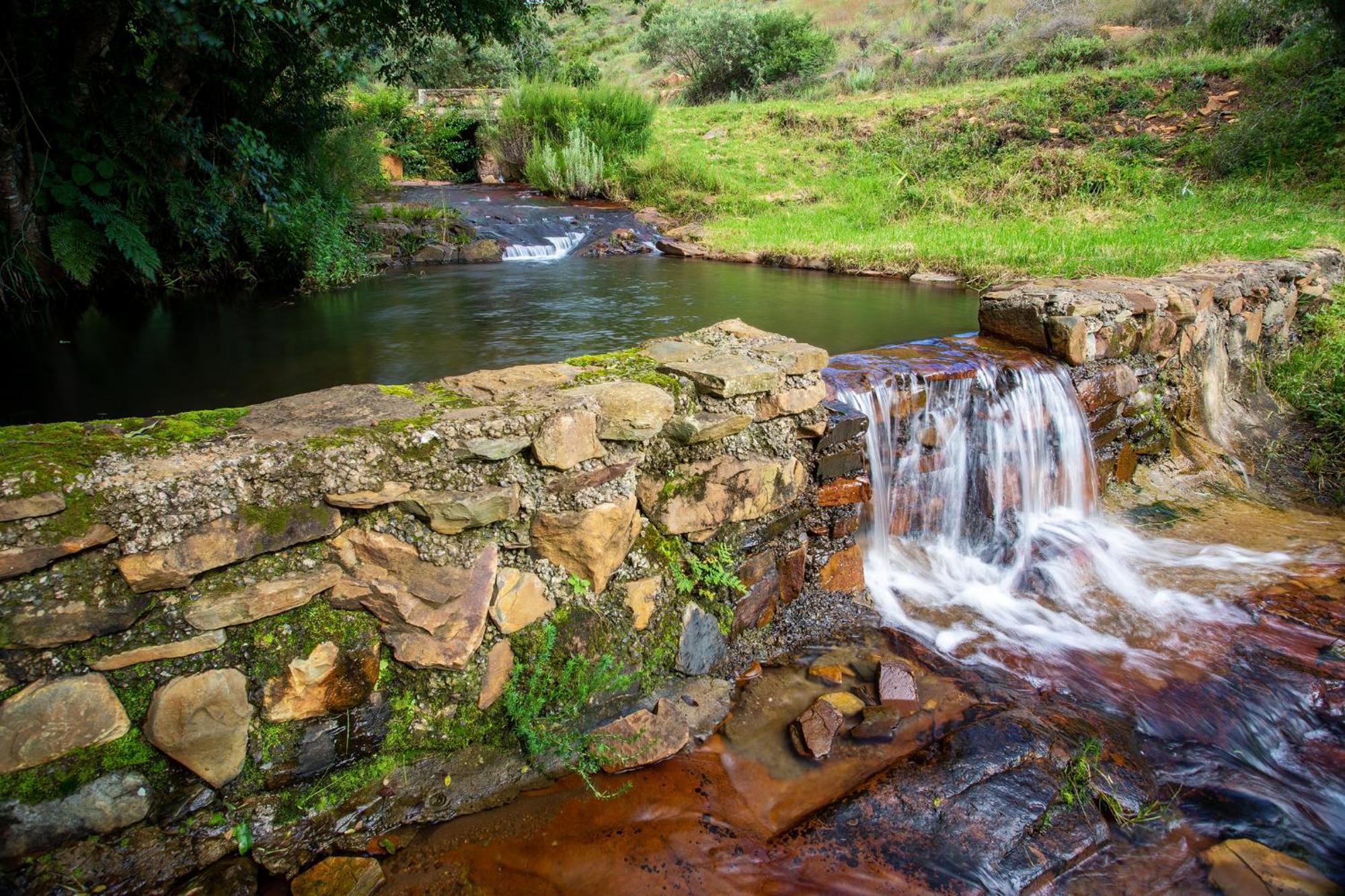 Rhenosterhoek Paardeplaats Nature Retreat מראה חיצוני תמונה