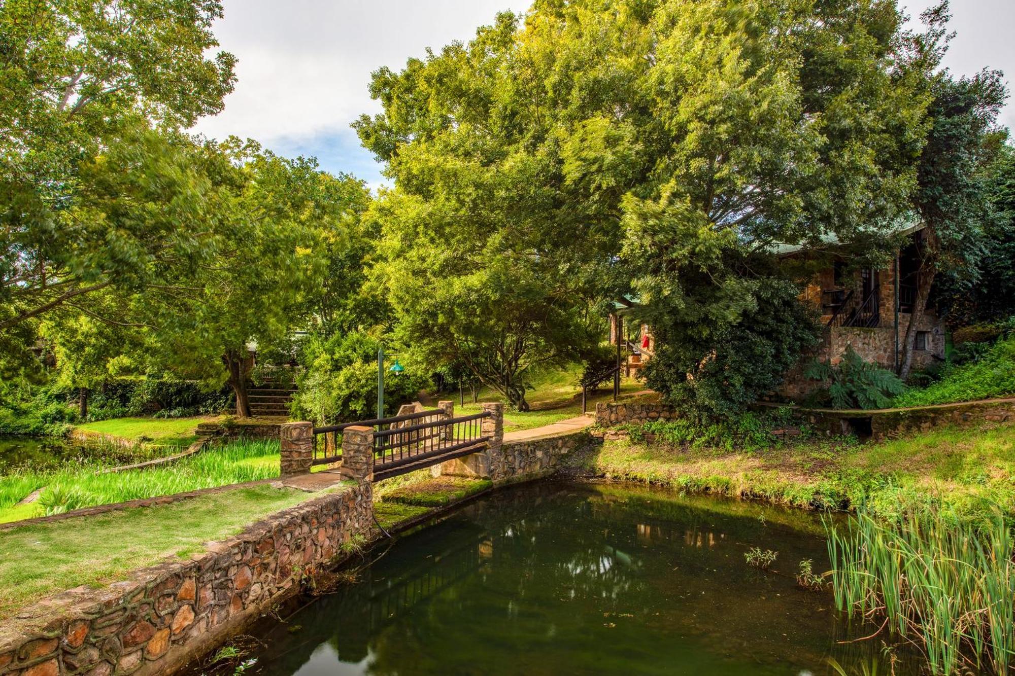 Rhenosterhoek Paardeplaats Nature Retreat מראה חיצוני תמונה