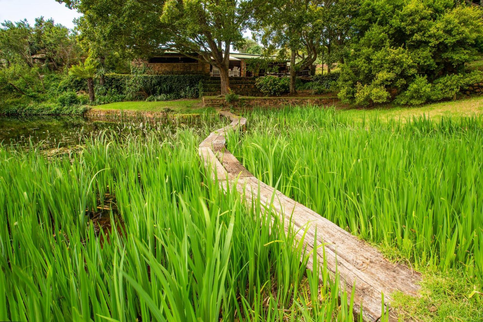 Rhenosterhoek Paardeplaats Nature Retreat מראה חיצוני תמונה
