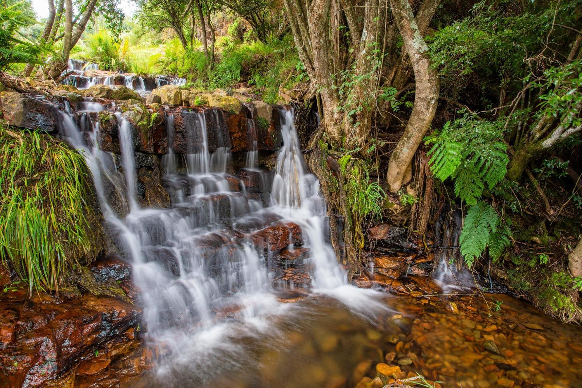 Rhenosterhoek Paardeplaats Nature Retreat מראה חיצוני תמונה