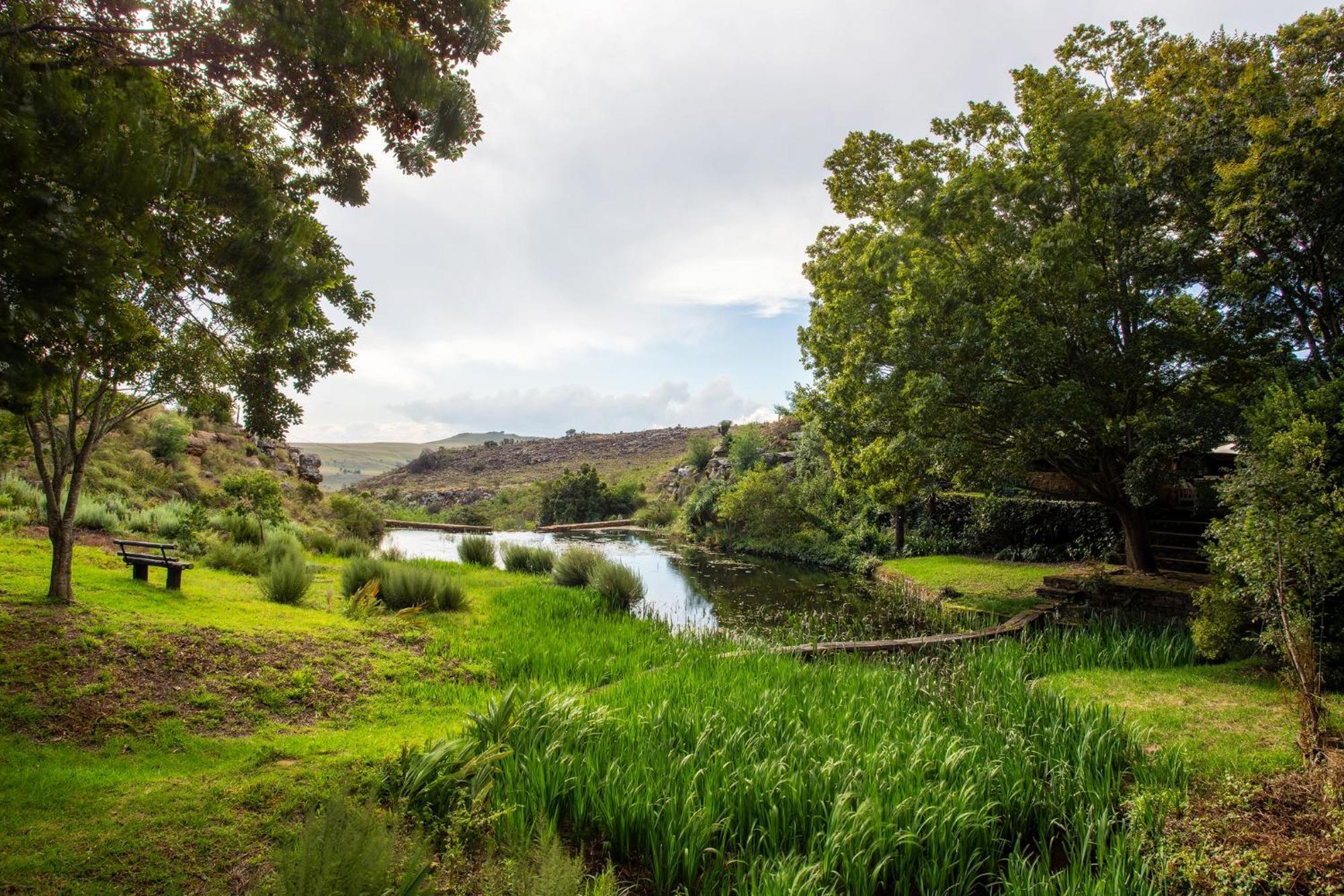 Rhenosterhoek Paardeplaats Nature Retreat מראה חיצוני תמונה