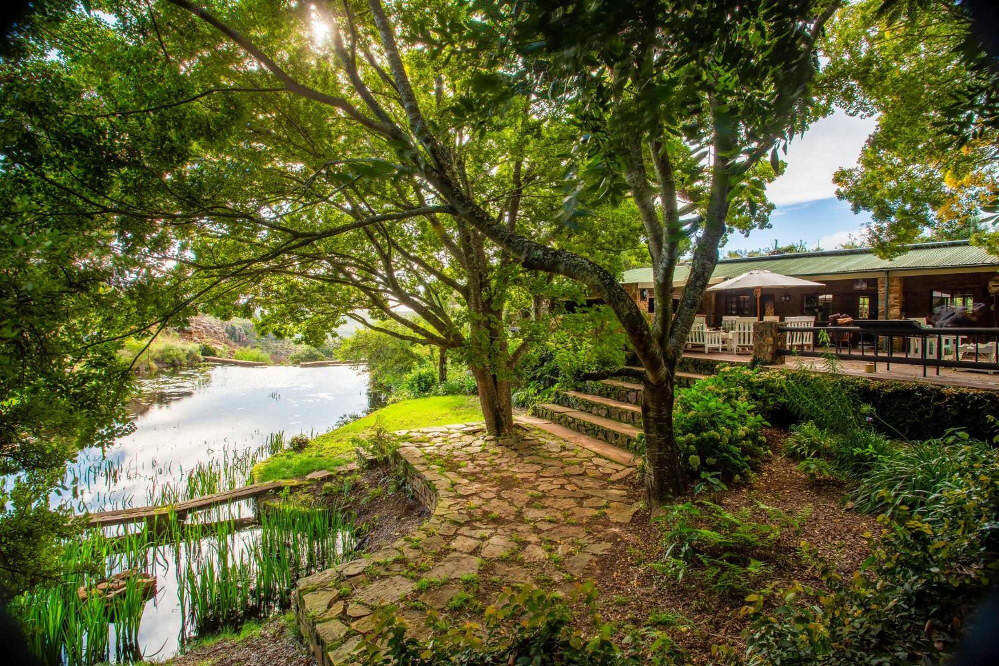 Rhenosterhoek Paardeplaats Nature Retreat מראה חיצוני תמונה
