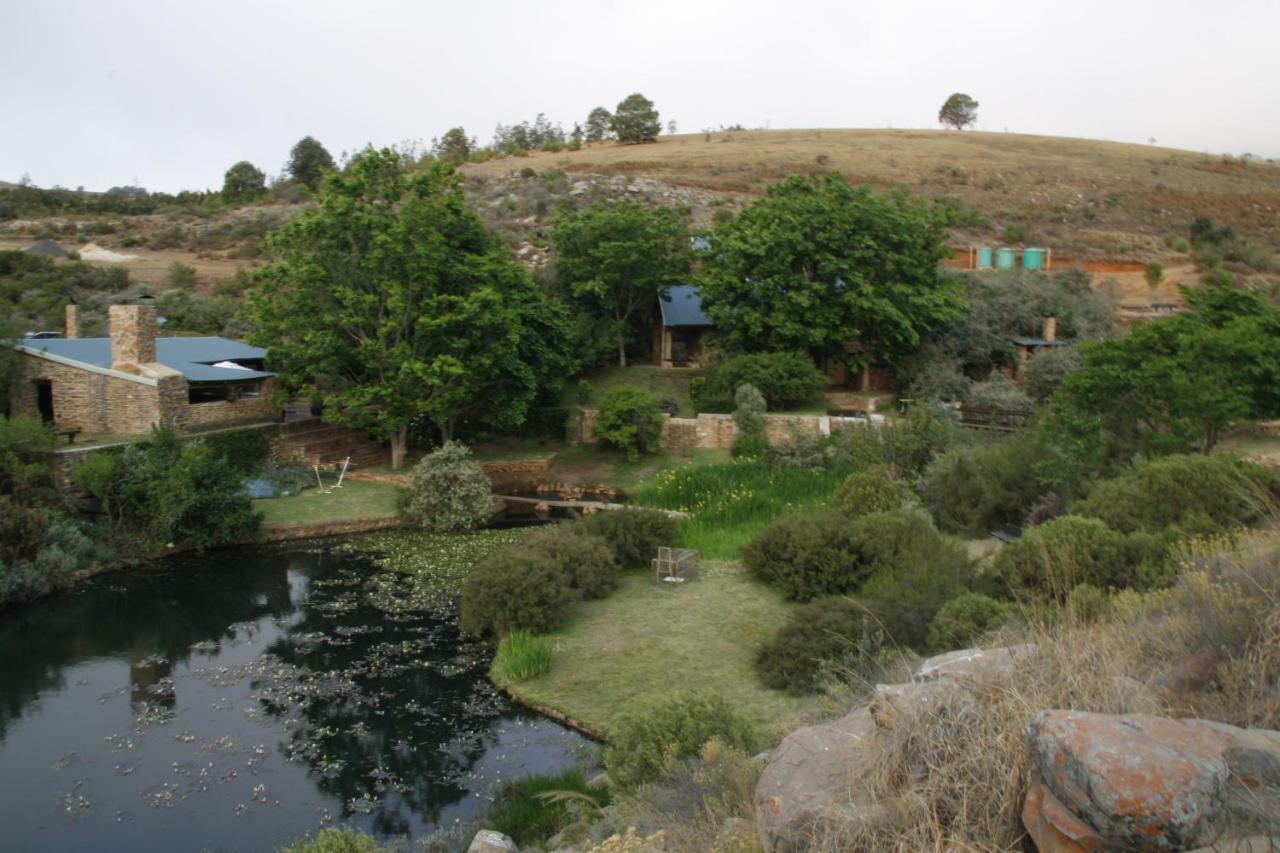 Rhenosterhoek Paardeplaats Nature Retreat מראה חיצוני תמונה